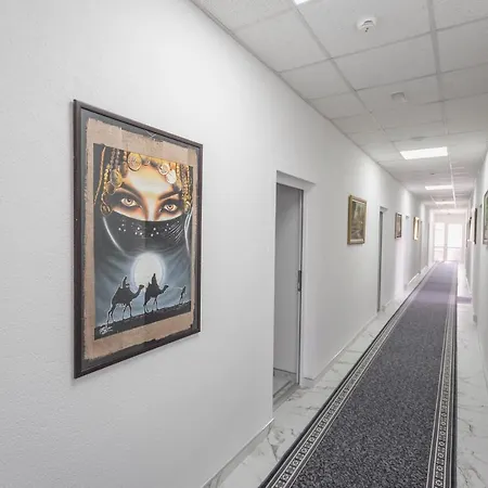 Safir Vandrerhjem Loznica