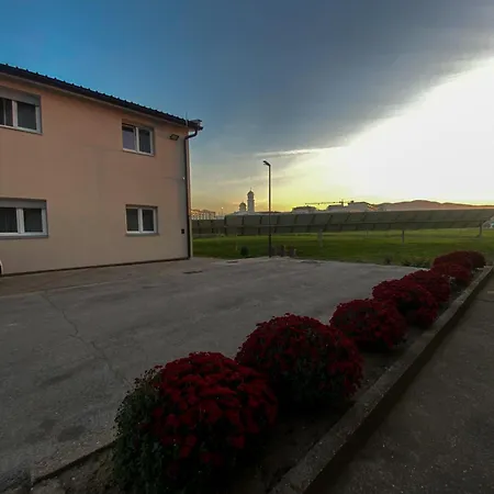 Safir بيت شباب لوزنيكا