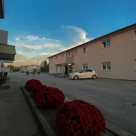 بيت شباب Safir لوزنيكا