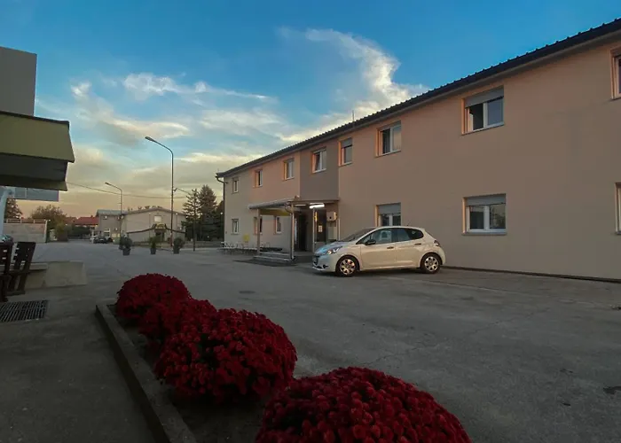 بيت شباب Safir لوزنيكا